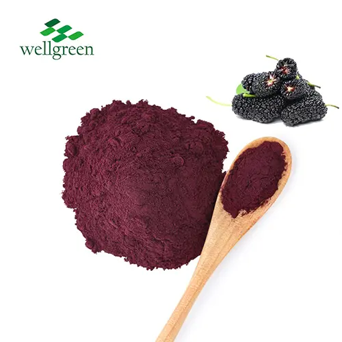 Mulberry Extract Powder